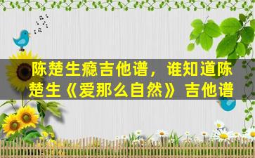 陈楚生瘾吉他谱，谁知道陈楚生《爱那么自然》 吉他谱